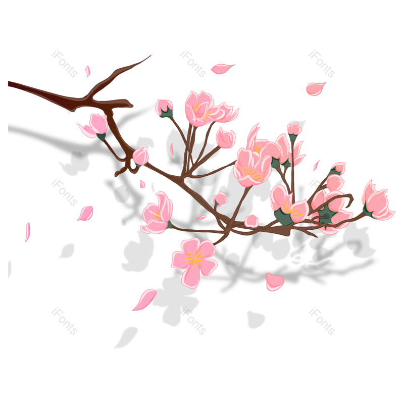 装饰图片,素材元素,花朵PNG,鲜花免抠素材